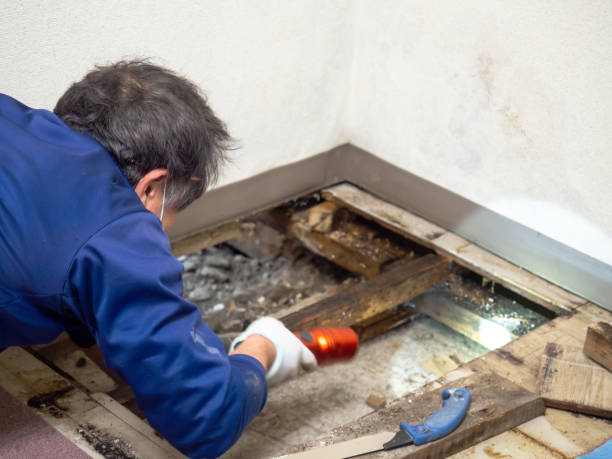 Water Damage Restoration in Humboldt Hill, CA