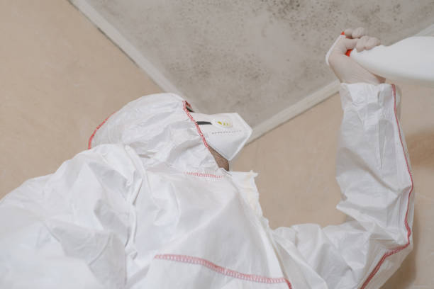 Mold Testing and Removal in Humboldt Hill, CA