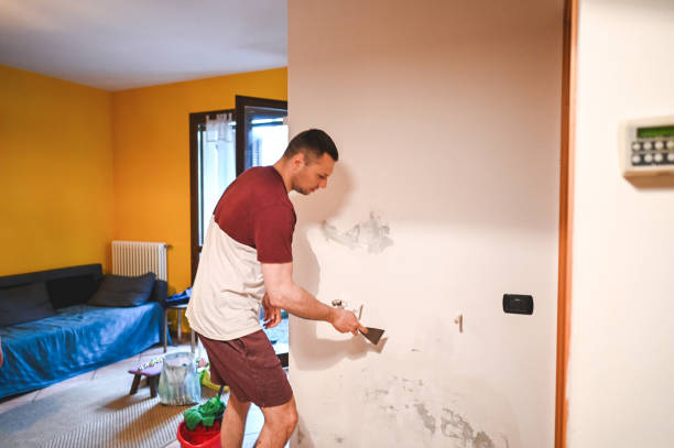 Best Professional Mold Removal  in Humboldt Hill, CA