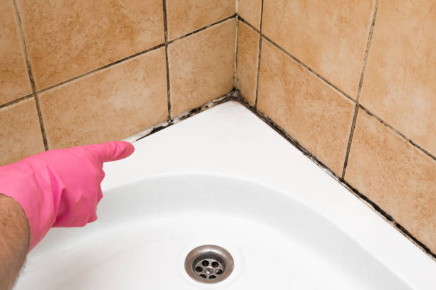 Best Residential Mold Removal  in Humboldt Hill, CA